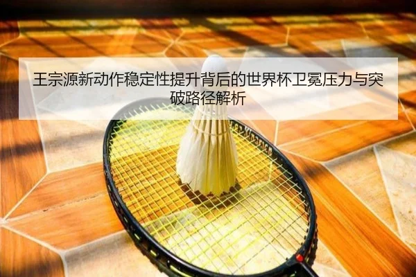 王宗源新动作稳定性提升背后的世界杯卫冕压力与突破路径解析